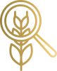 icon1 icon1